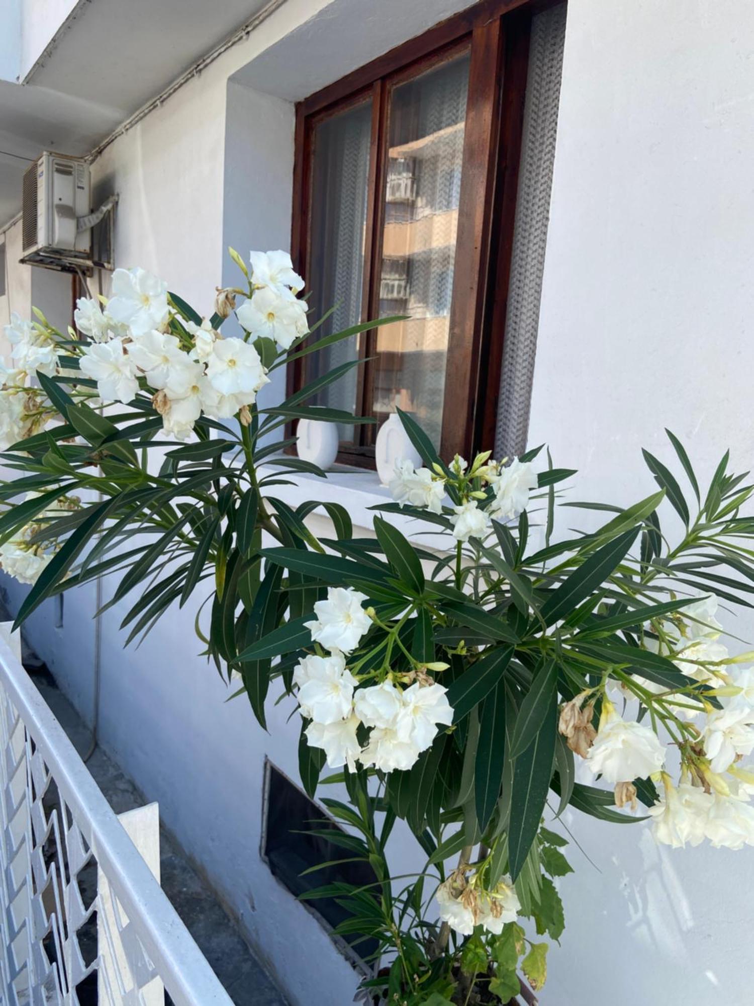 Guest House Hei Taka Созопол Екстериор снимка