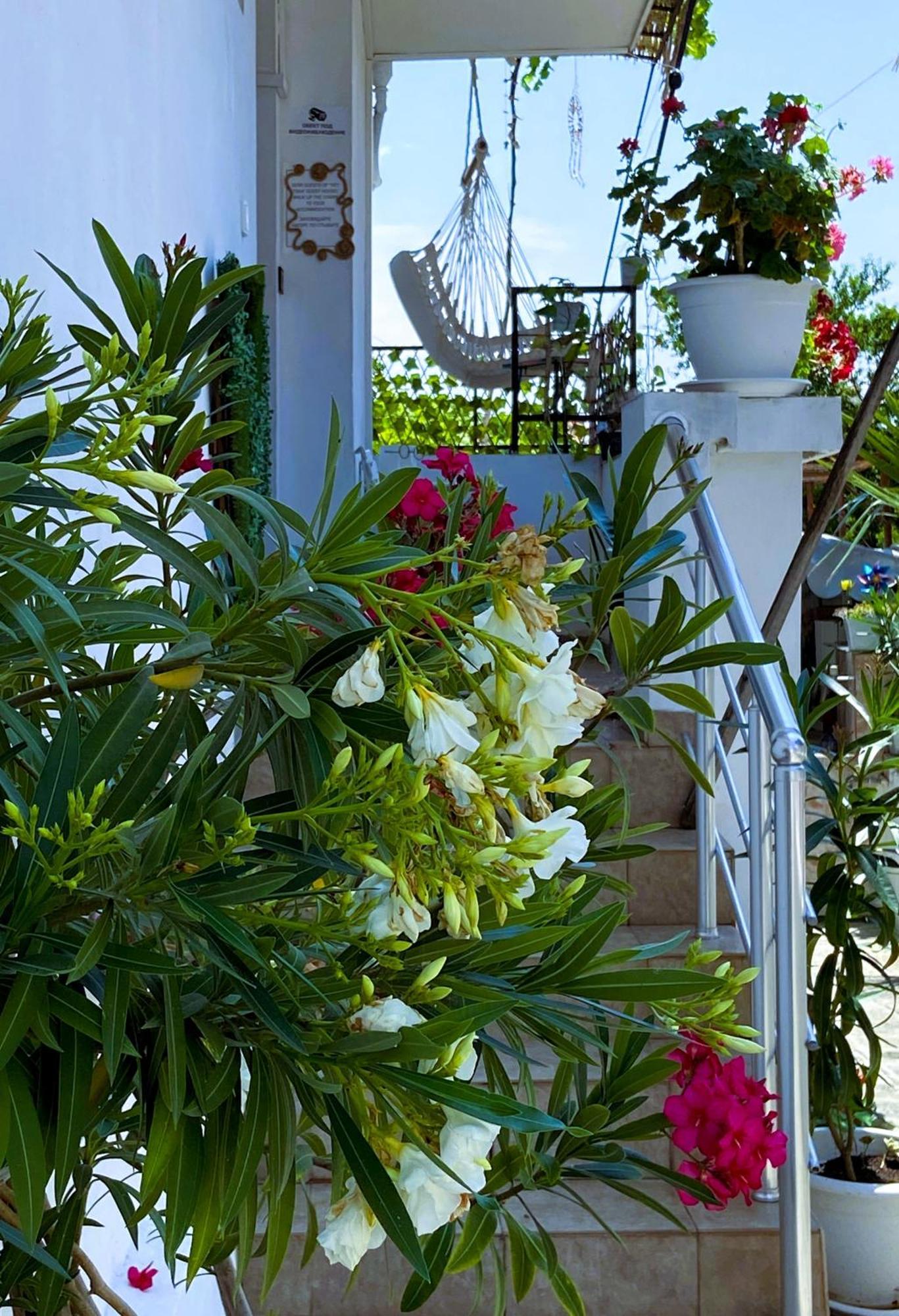 Guest House Hei Taka Созопол Екстериор снимка